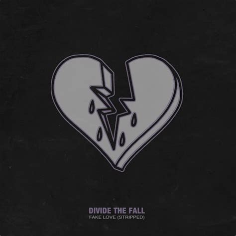 Divide The Fall Fake Love Stripped Lyrics Genius Lyrics