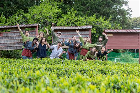 Accueil Kyoto Obubu Tea Farms Fr