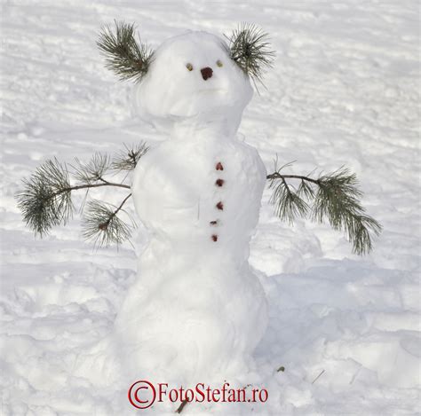 Oameni De Zapada Si Pisica De Piatra Fotostefan