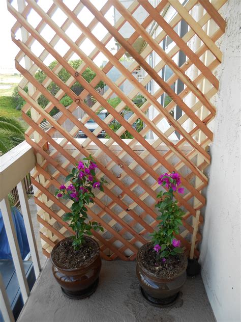 create a beautiful private balcony by using some lattice wood and your favorite climbing plant