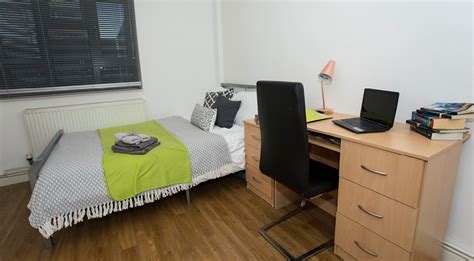 Gold Non Ensuite Room Student 1 Bed Flat To Rent On Lower Road London