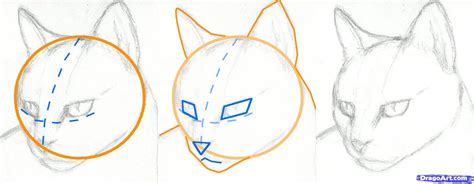How To Draw A Cat Face Step By Step How To Draw A Cat Head Draw A Realistic Cat Step By Step