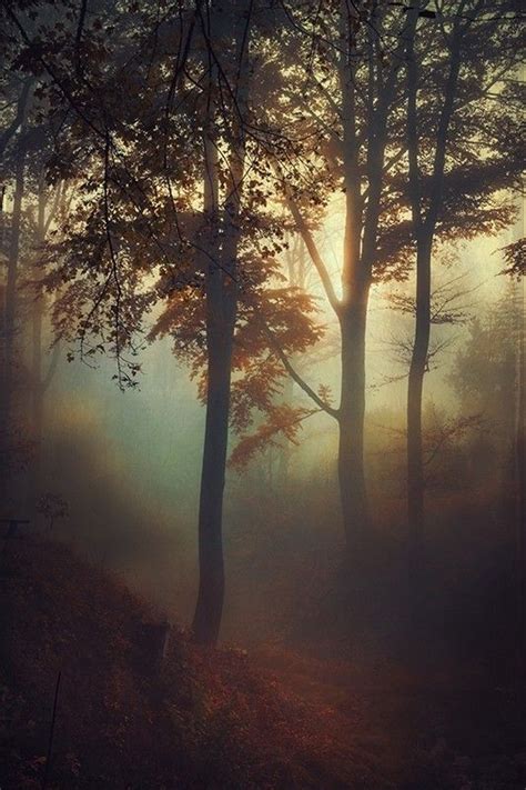 Radivs Fog Pit By Dirk Wüstenhagen Beautiful Photography Nature