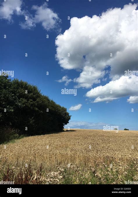 Summer In Norfolk Blue Sky Beauty Stock Photo Alamy