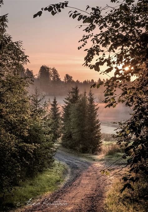 Country Road Finland By Asko Kuittinen Cr🇫🇮 Country Roads Scenery