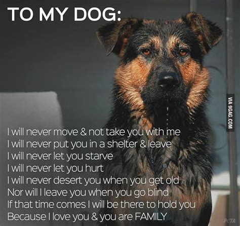 As A Dog Lover Dogs Dog Quotes Funny Dog Lovers