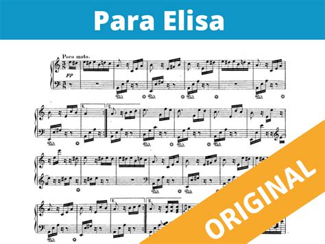 Accede A Para Elisa De Beethoven Para Piano Disponible En Dos