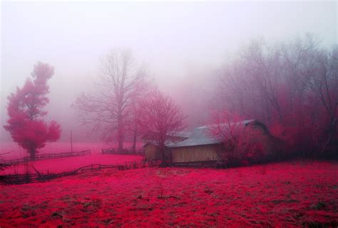Autumn Tablet Hutsnature Earthcool Landscapes Pink