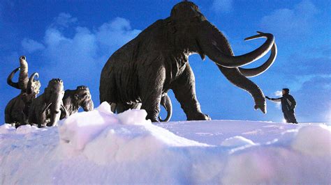 ‘the Motherland Of Mammoths Can The Woolly Beasts Still Be Found