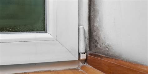 Basement mold removal on tile or linoleum can also be performed with vinegar or a borax and water solution. 5 Signs You Need Basement Mold Removal | ARC Insulation