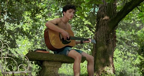 Picture Of Timothee Chalamet In Call Me By Your Name Timothee