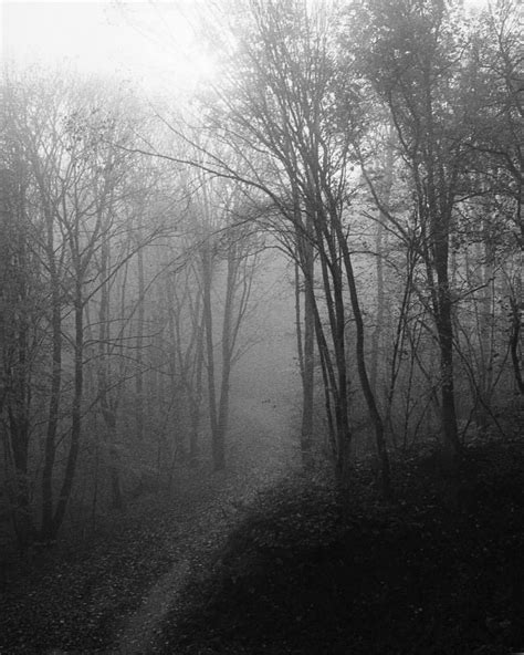 Foggy Mornings In The North Ilfordfilm Ilford Ilfordhp5 Hp5