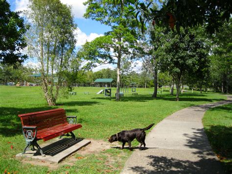Brisbanes Best Off Leash Dog Parks