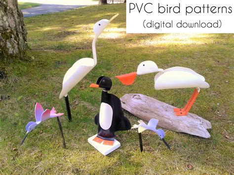 Pvc Pipe Bird Patterns Crazy Diy Mom