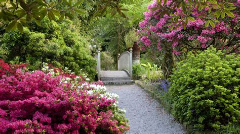 The Best National Trust Gardens To Visit This Spring Bt