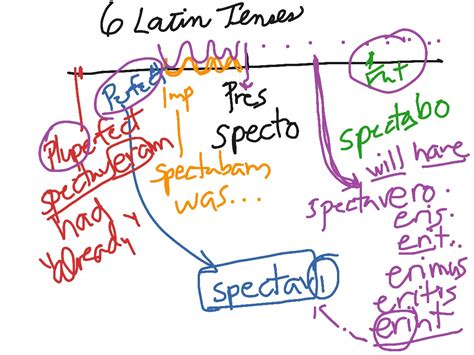 6 Latin Tenses Latin Language Latin Grammar Showme