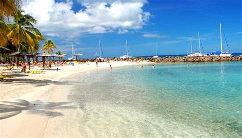 Martinica Historia ¿dónde Queda Bandera Clima Turismo Playas Y Más
