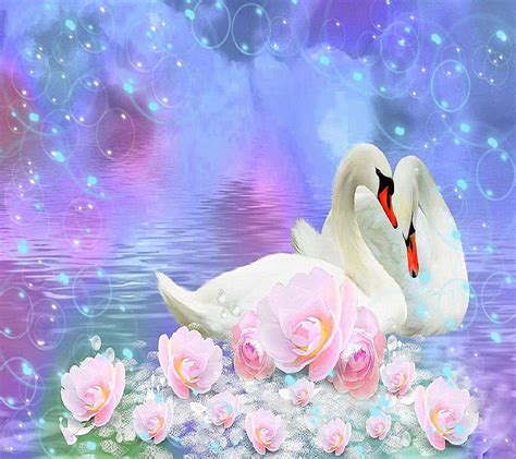 Swan Lake Romantic Hd Wallpaper Peakpx