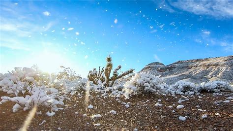 Snow In The Desert Las Vegas Nevada Youtube