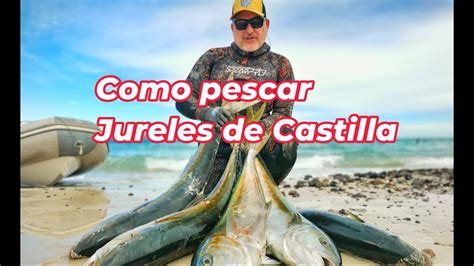 Como Pescar Jureles De Castilla Con Técnicas De Pesca Submarina Youtube