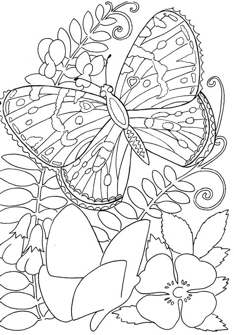 Butterfly Butterfly Coloring Page Flower Coloring Pages Free