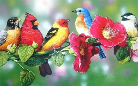 Spring Birds Wallpaper Wallpapersafari