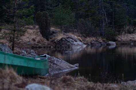 Canoe Besides A Lake With Spruce Tree In Forest Stock Image Image Of