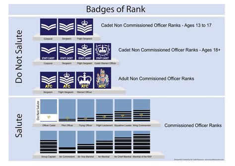 1146 Barnstaple Squadron Air Training Corps Badges Of Rank