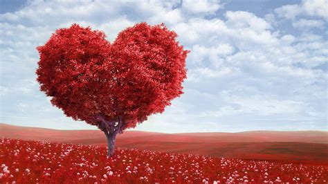 2560x1440 Heart Tree 1440p Resolution Hd 4k Wallpapers Images
