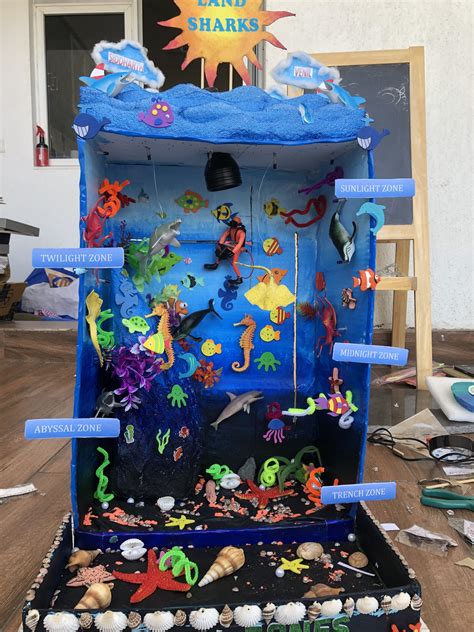 Ocean Zones Diorama Kids Ocean Art Projects School Kids Crafts