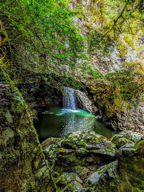 Enchanted Forest With Waterfall Stock Image Image Of Mossy Foliage