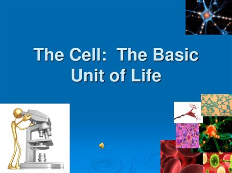 Ppt The Cell The Basic Unit Of Life Powerpoint Presentation Free