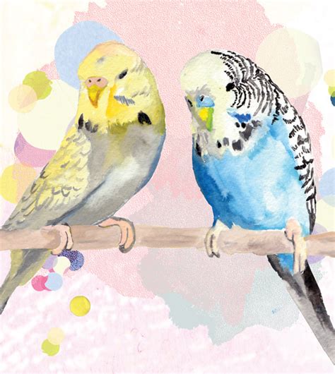 Budgies Are Awesome Budgies Art Prints