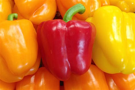 Organic Colored Bell Peppers | Produce Geek
