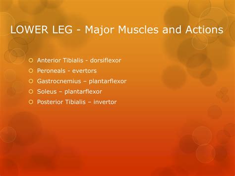 Ppt Chapter 15 Foot Ankle And Lower Leg Powerpoint Presentation
