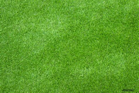 Green Grass Texture For Background Stock Photo 2465567 Crushpixel