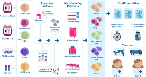 Natural Killer Cell Therapy Manufacturing Process Pipeline From Left