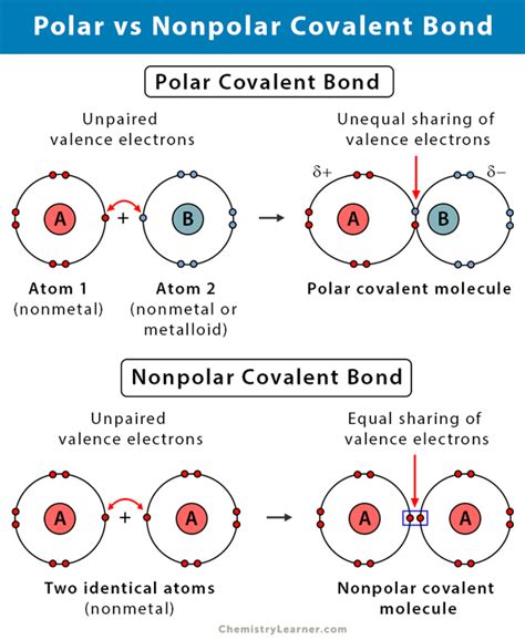 Polar Bond Covalent Bonding Molecules Organic Chemist