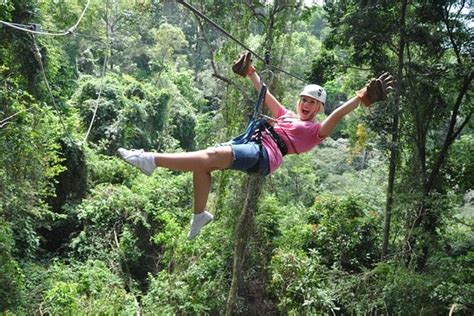 Things to do near canopy adventure zip line tours. De leukste trips in Suriname! - Parabello Quadrijden ...