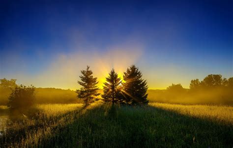 Meadow Rays Forest Sunrise Trees Sun Wallpapers Hd Desktop And