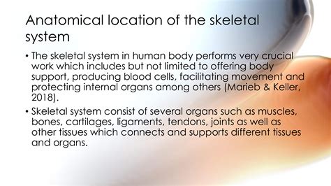 Solution The Skeletal System Presentation Studypool