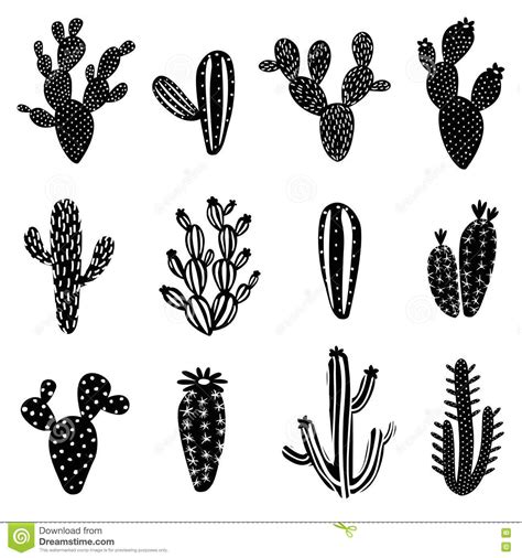Cactus Silhouette Illustration Set Stock Vector Illustration Of
