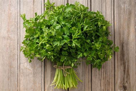 How To Grow Parsley Indoors Or Outside Better Homes And Gardens