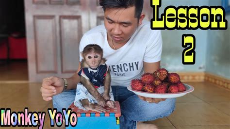 Lesson 2 Of Yoyo Jr Monkey Baby Yoyo Youtube