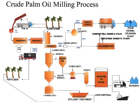 Personal data of the website visitors are processed in. What is the detail process of palm oil refinery?|technology analysis|