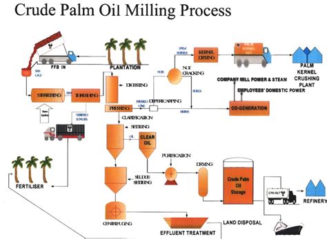 Global sales for exports of refined petroleum oils by country totaled us$679.3 billion in 2019. What is the detail process of palm oil refinery?|technology analysis|