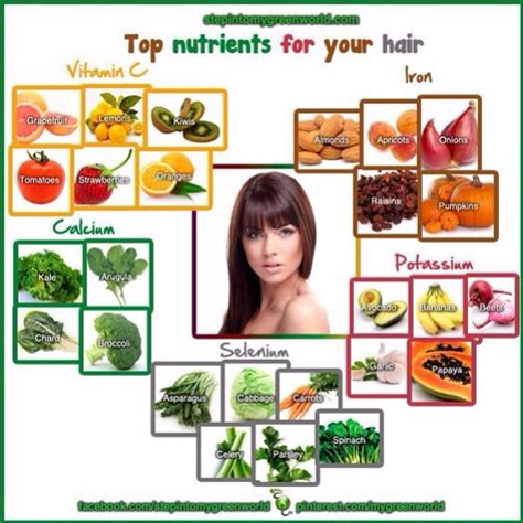 Top Nutrients For Your Hair By Michelle Lynn Musely