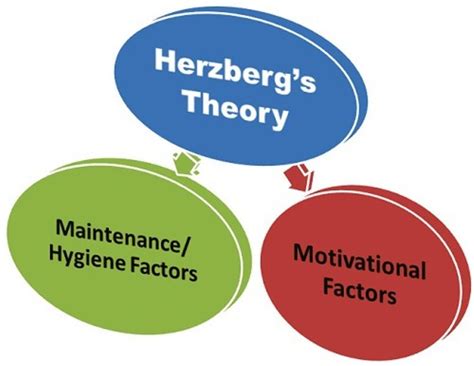 Herzbergs Motivators And Hygiene Factors Studiousguy