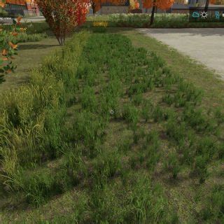 Grass In All States For Painting V Fs Mod Farming Simulator Mod