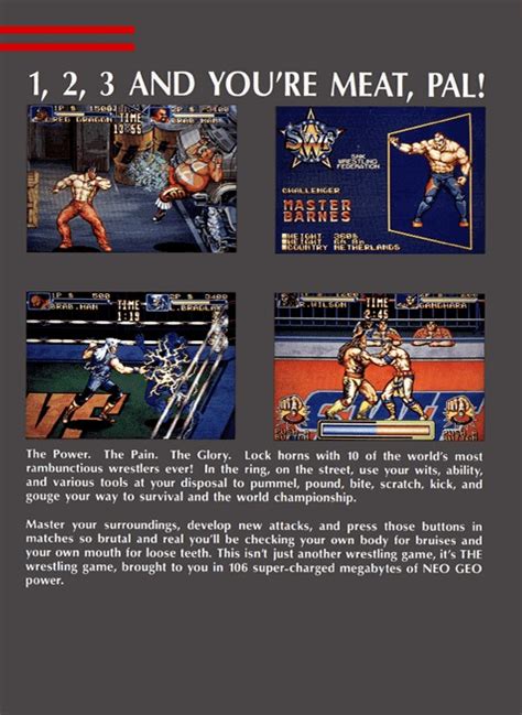 3 Count Bout Fire Suplex Boxarts For Snk Neogeo The Video Games Museum